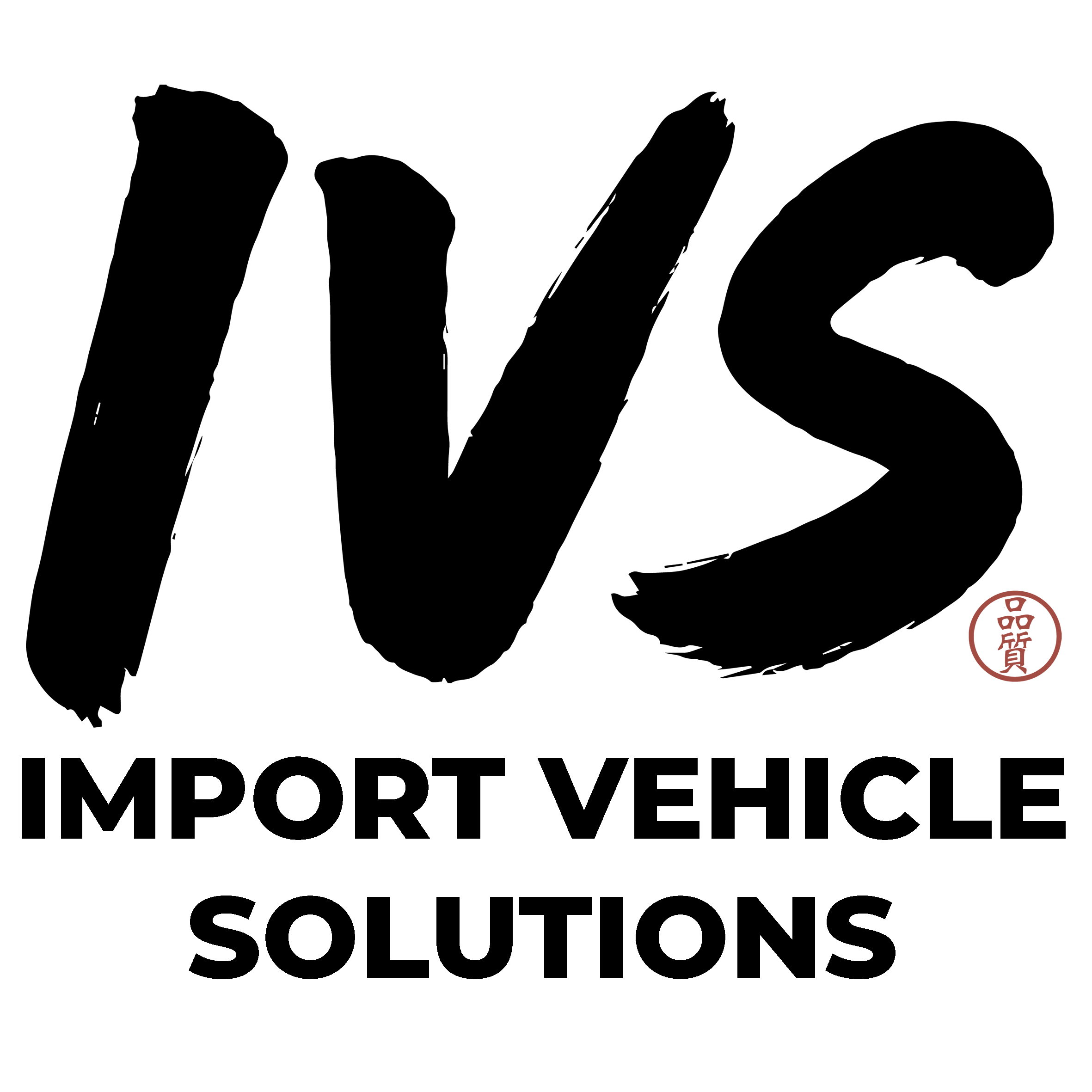 IVS Workshop official logo